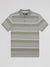 Regular Fit Tide Desert Sage Striped Pique Polo