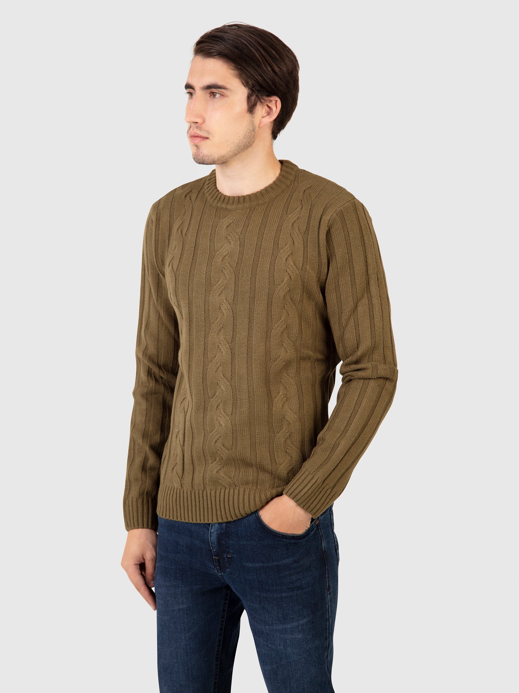 Regular Fit Dable Murky Green Knitted Sweater