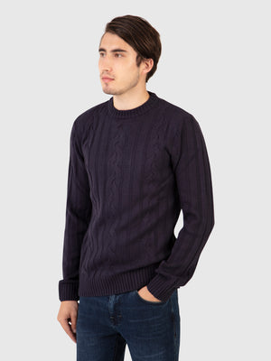 Regular Fit Dable Navy Crew Neck Long Sleeve Knit