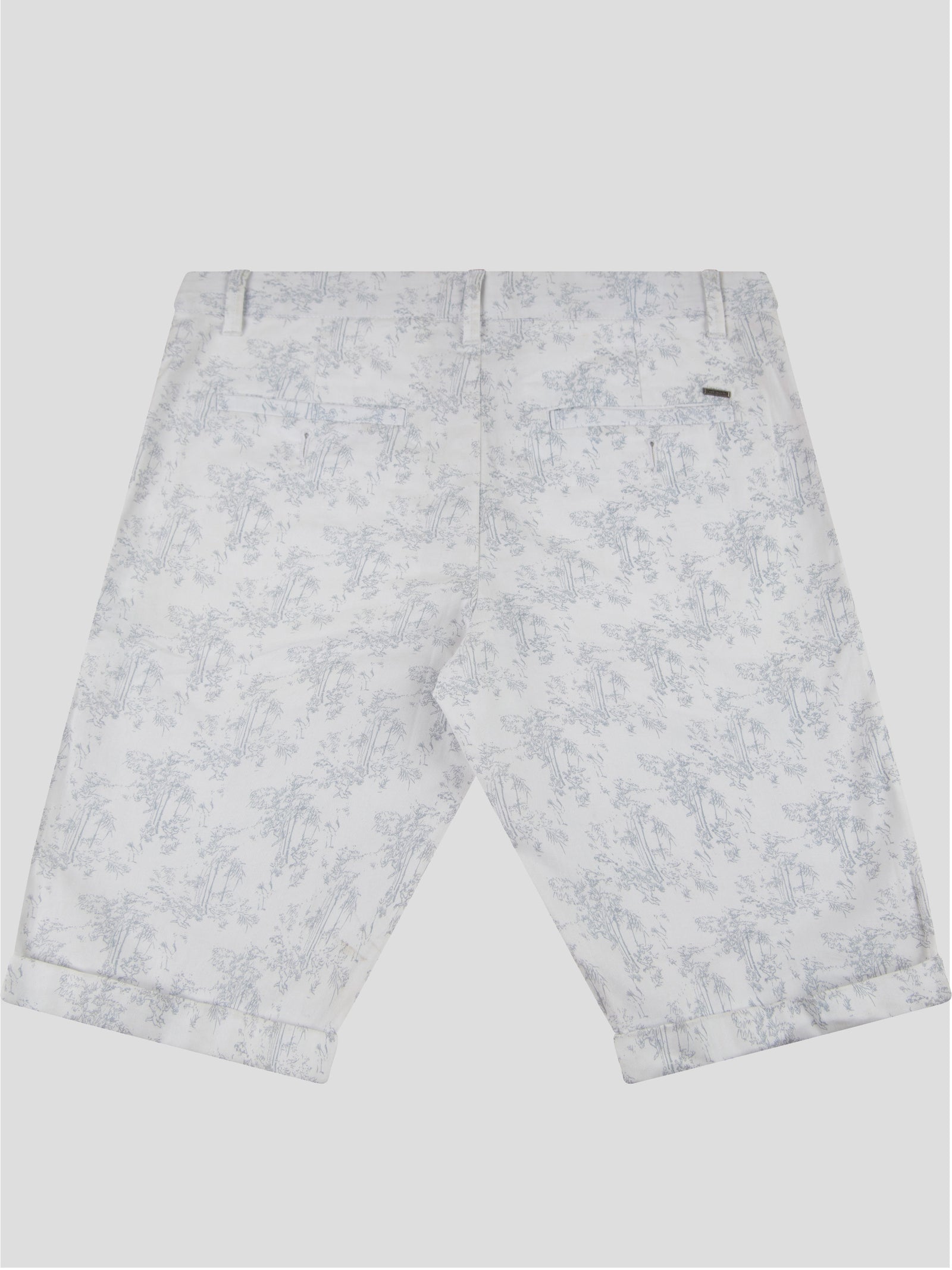 Oasis Beige Printed Short