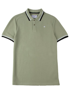 Regular Fit Textured Cotton Jersey Stockholm Pale Green Polo